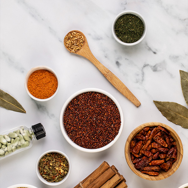 Info Fiber Company Overview